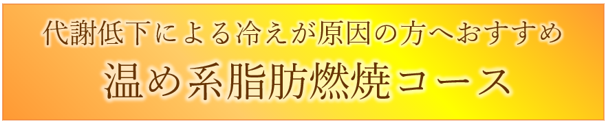 名古屋のラジオ波「温め系脂肪燃焼コース」