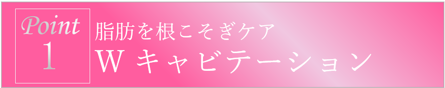 名古屋の痩身エステのダブルキャビテーション