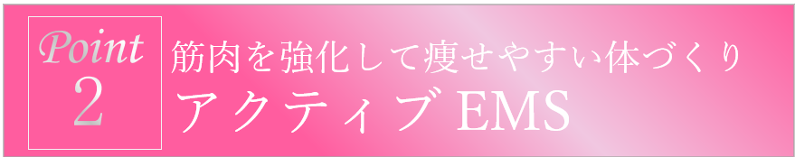 筋肉強化で引締め＋痩せやすい体へ導くアクティブEMS_痩身エステ_名古屋img