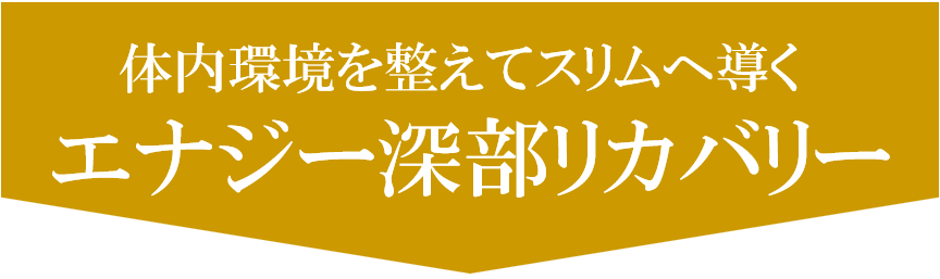 名古屋のリンパマッサージで体内環境を整えてスリム