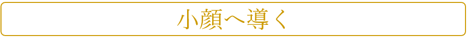 名古屋の小顔ケア