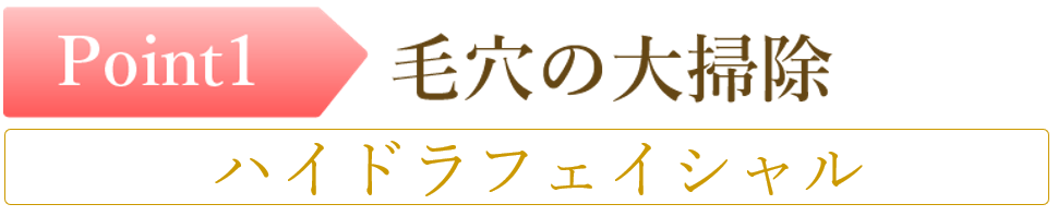 名古屋のシミ取りの毛穴洗浄