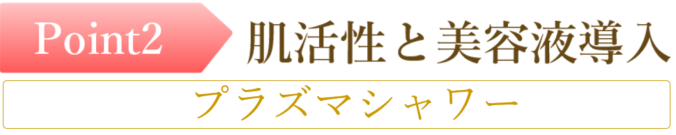 名古屋のシミ取りの肌活性と美容液導入