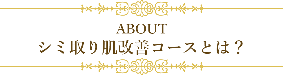 名古屋のシミ取り肌改善コースとは？